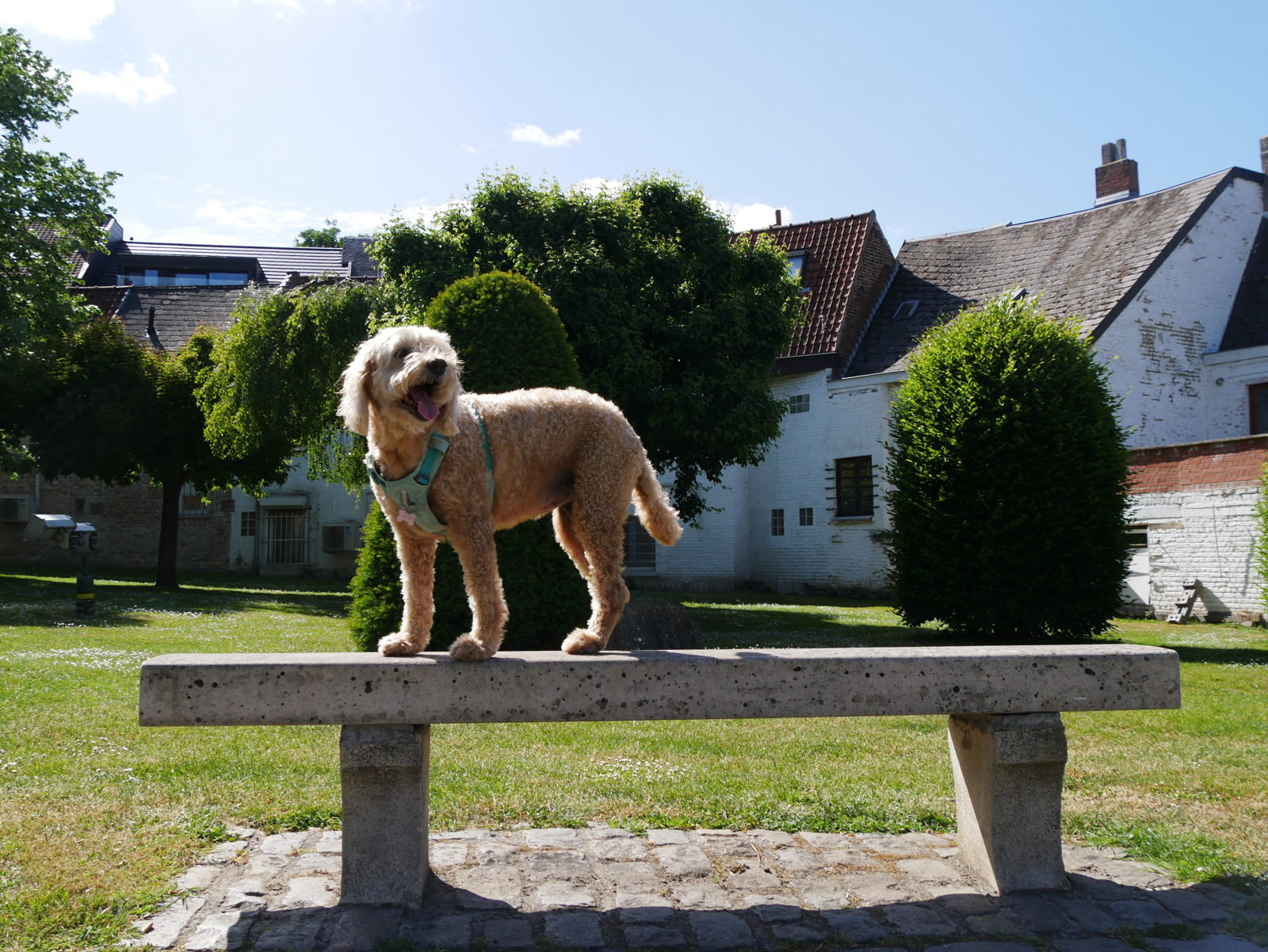 Tervuren after-school photography class student photo 16