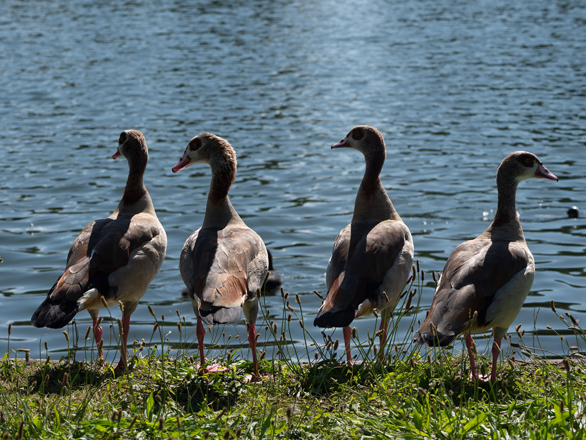 Zoom In Reach Out Photo Cards